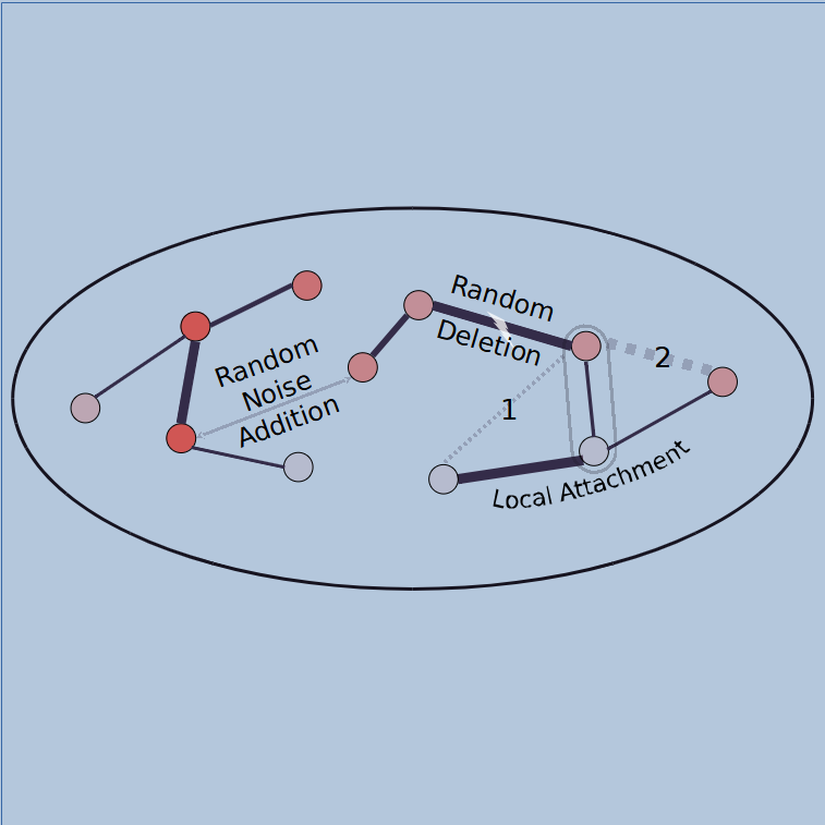Edge modification: network link formation and removal diagram.